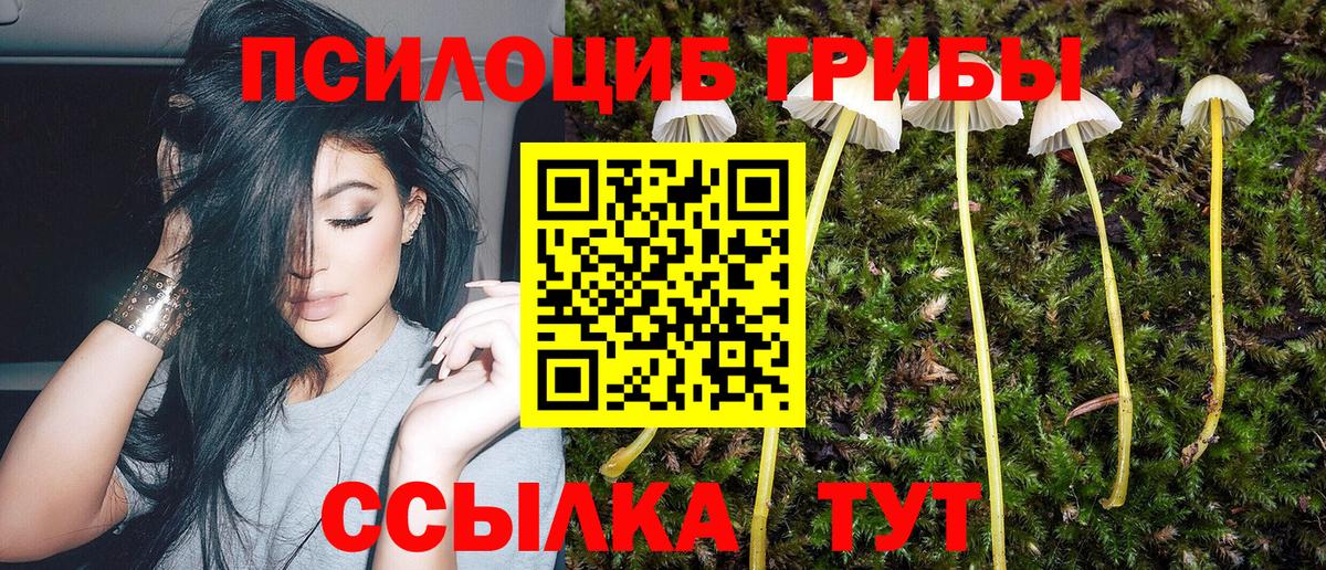 Псилоцибиновые грибы GOLDEN TEACHER  Галлюциногенные грибы мухоморы  Лесной  Вход с VPN 